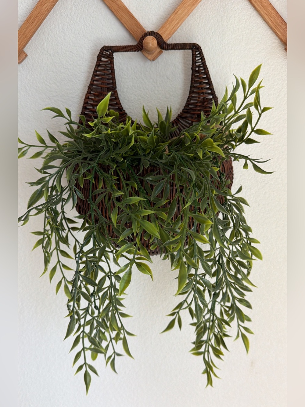 Woven Wall Basket Plant Holder - Cottagecore, Boho